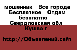 мошенник - Все города Бесплатное » Отдам бесплатно   . Свердловская обл.,Кушва г.